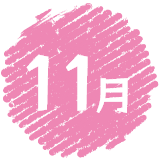 11月